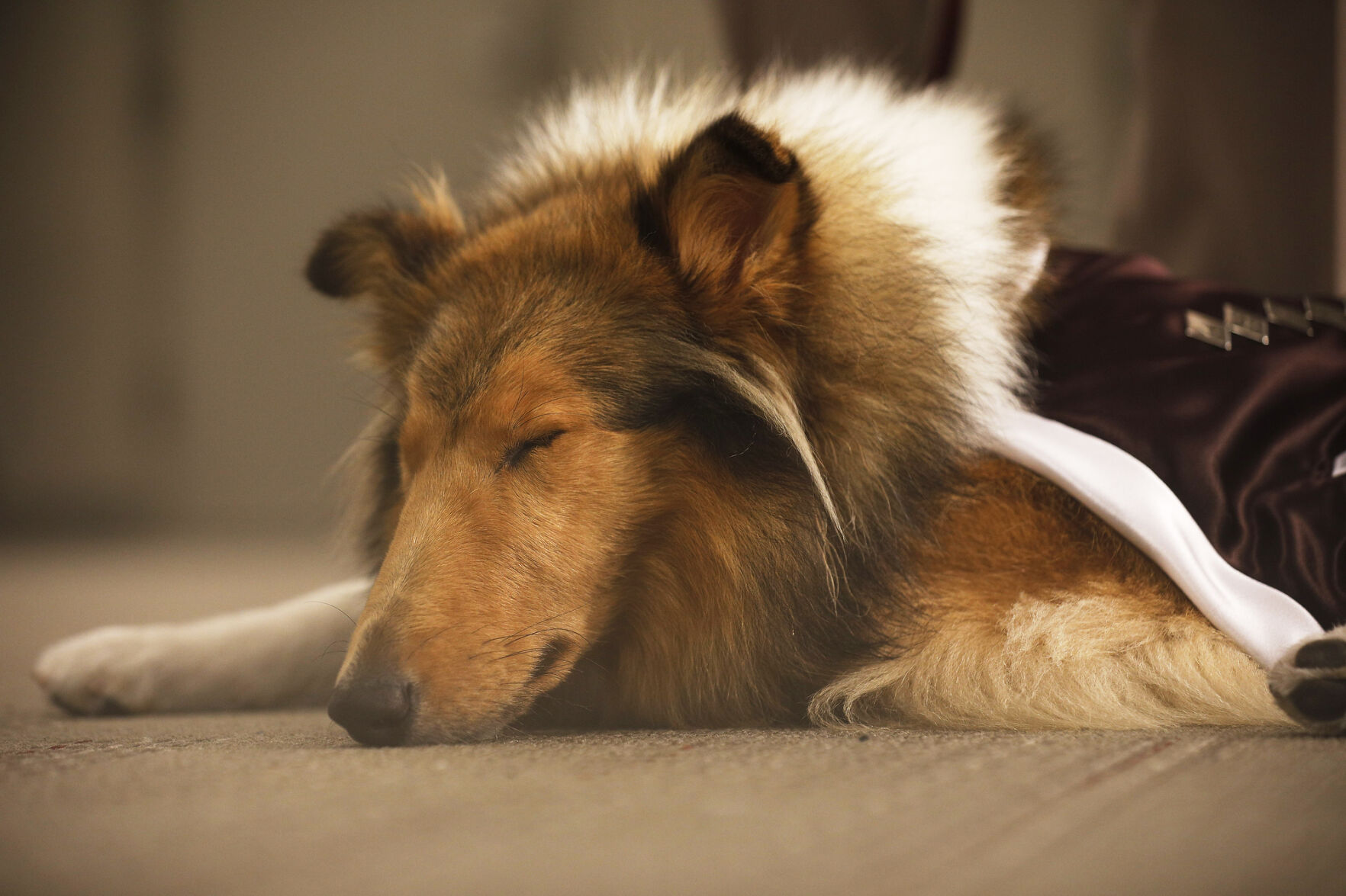 Reveille X